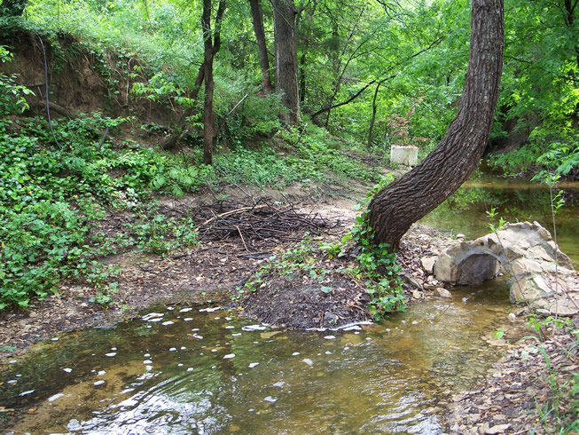 Our view from our front porch.  Mostly creek is dry and a great nature walk.